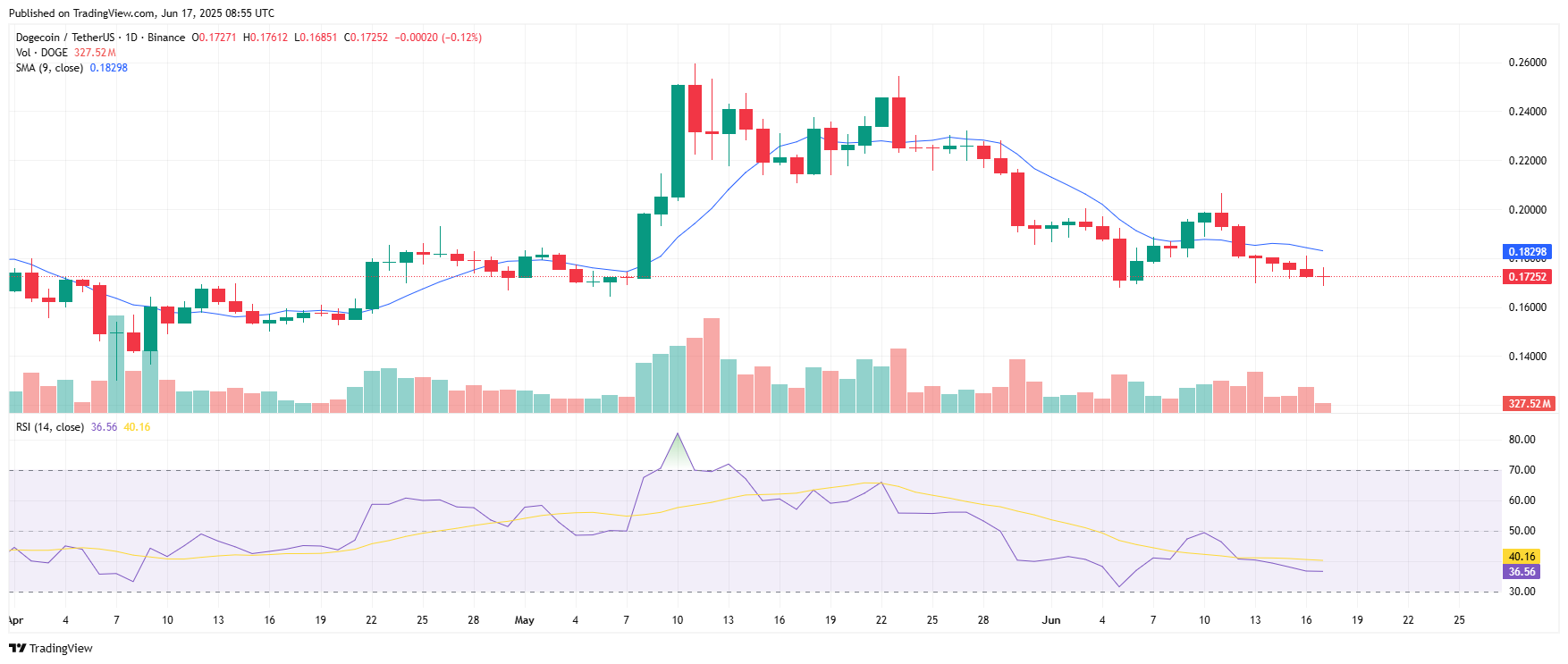 Why the Recent Dip in Doge Price Could Be a Buying Opportunity 5 DOGEUSDT 2025 06 17 14 25 13