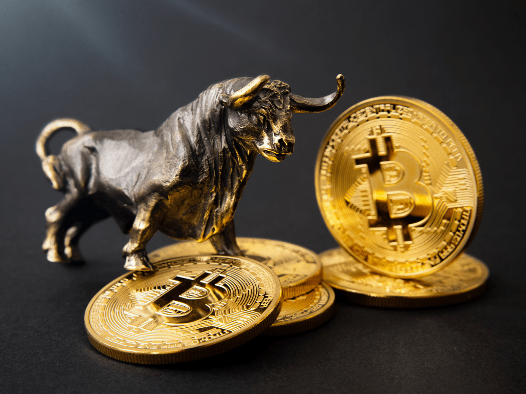 bitcoin bull or bear