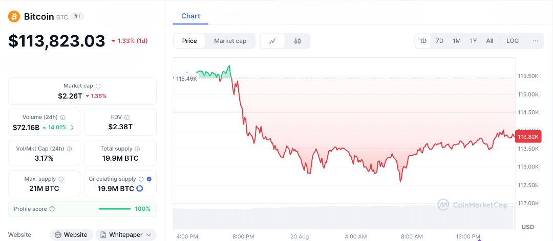Markets in Panic, Why Is Crypto Dropping and What Comes Next?