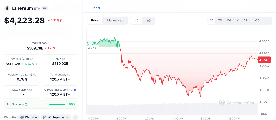Markets in Panic, Why Is Crypto Dropping and What Comes Next?