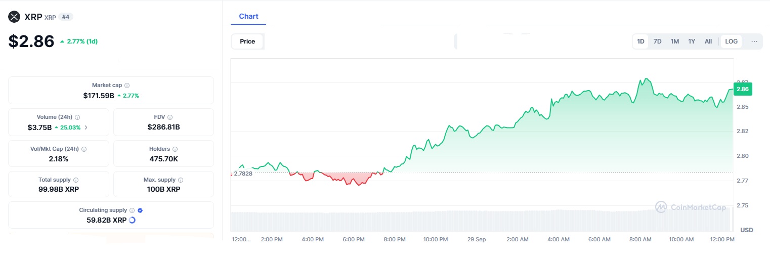 XRP 9