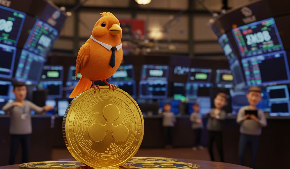 Canary’s XRP ETF Makes a Strong Market Debut: What Early Success Means for Altcoin ETFs 12 Canary’s XRP ETF Makes a Strong Market Debut: What Early Success Means for Altcoin ETFs