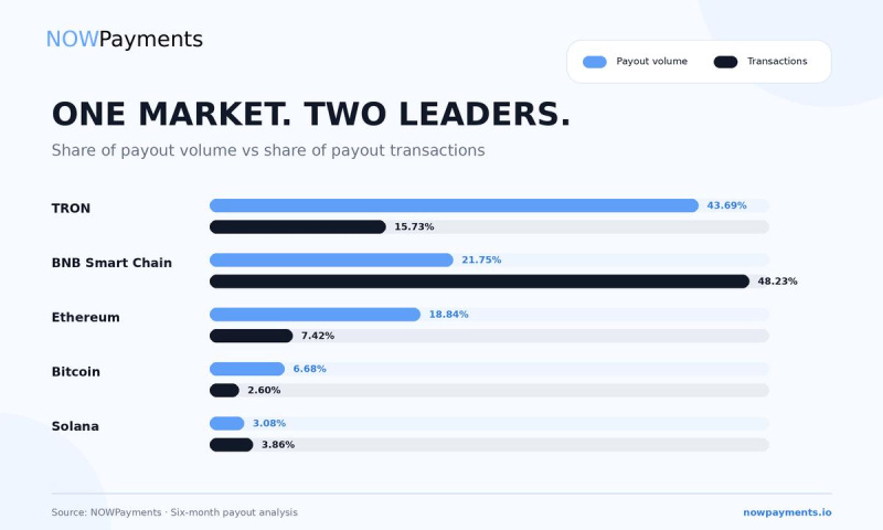 NOWPayments Releases Cross-Chain Payout Data Revealing Key Performance Benchmarks Across TRON, BNB Chain, and Solana 3 5EV6iTa 1789741227mLJ3EsfLEh