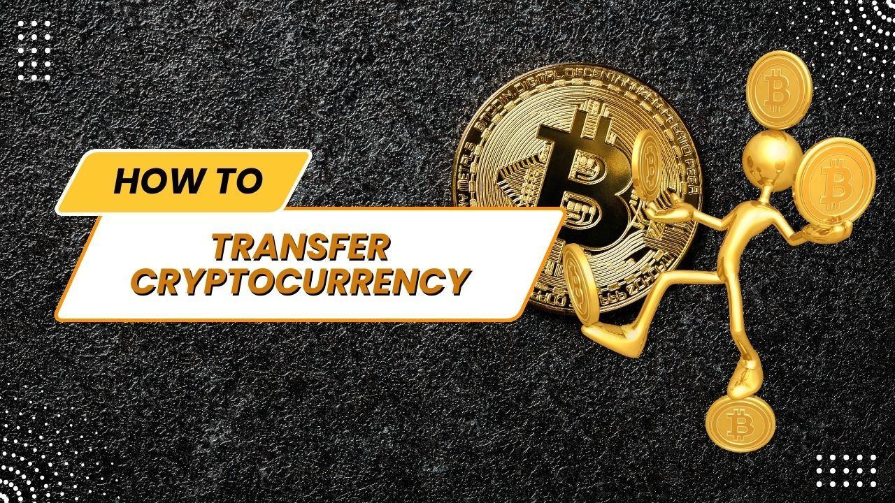 how can you lose money on cryptocurrency